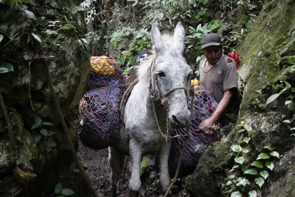 Verso il campo del Clarin. (foto P. Porcu)